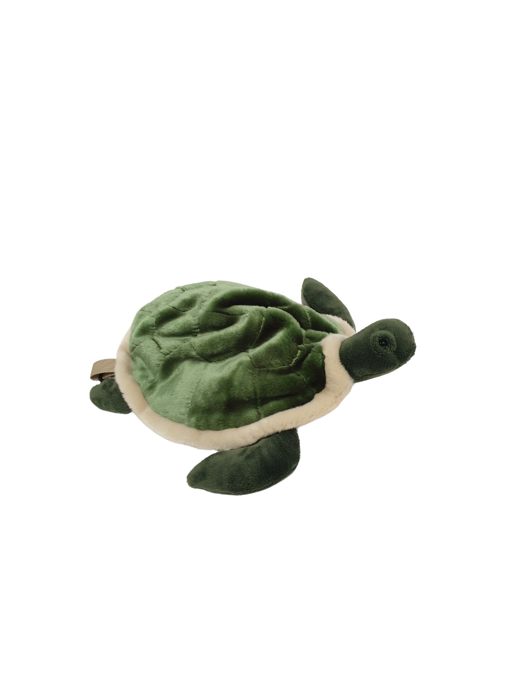 Backpack Turtle