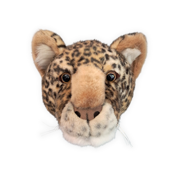 Charlie the Leopard - Medium Head