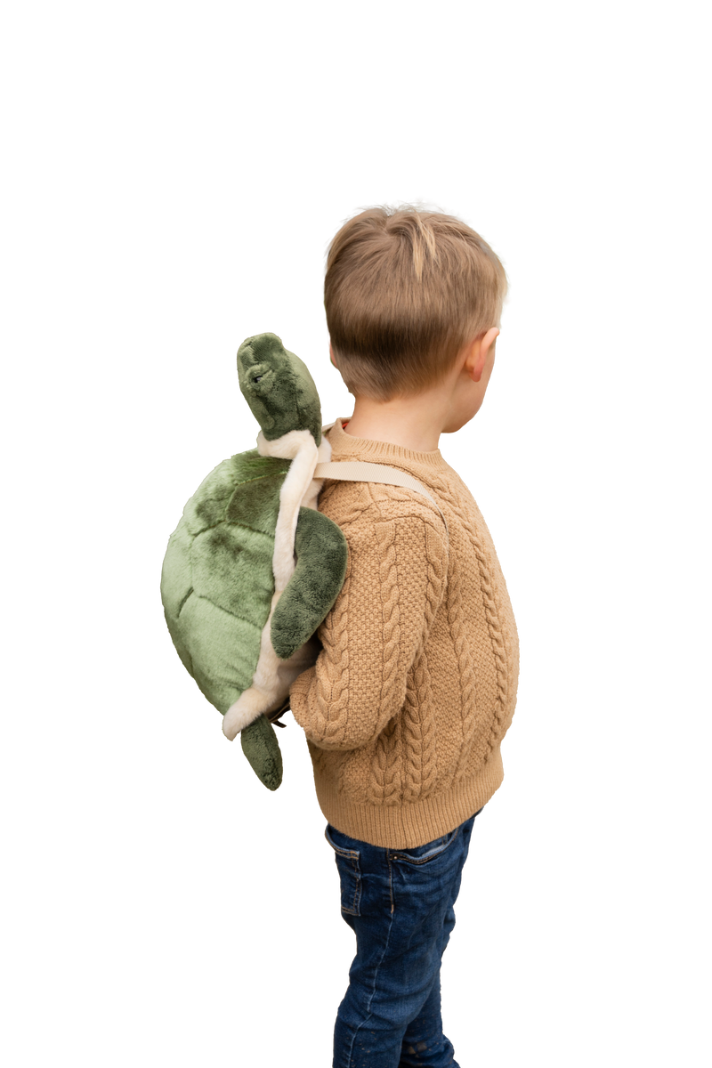 Backpack Turtle