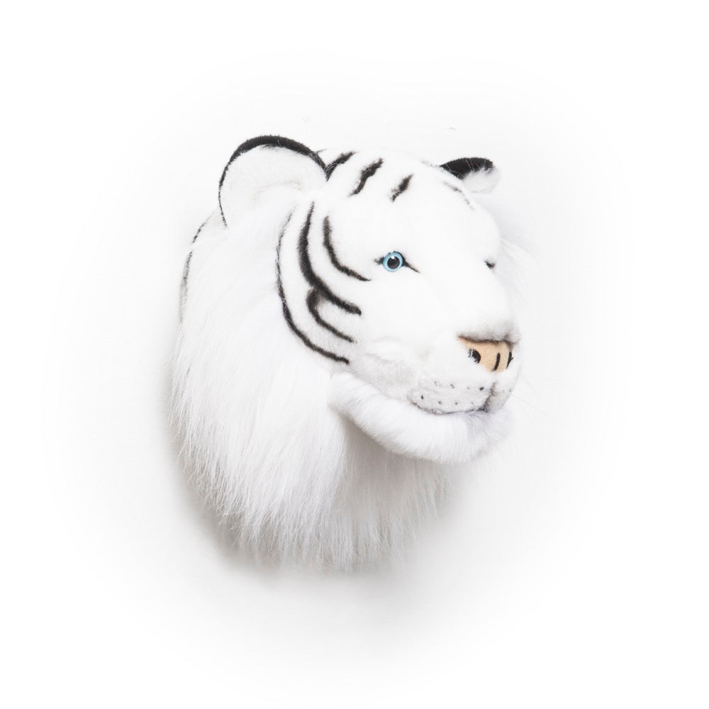 Albert le tigre blanc